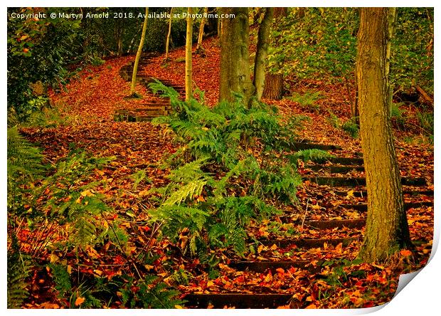 A Walk in the Autumn Wood Print by Martyn Arnold