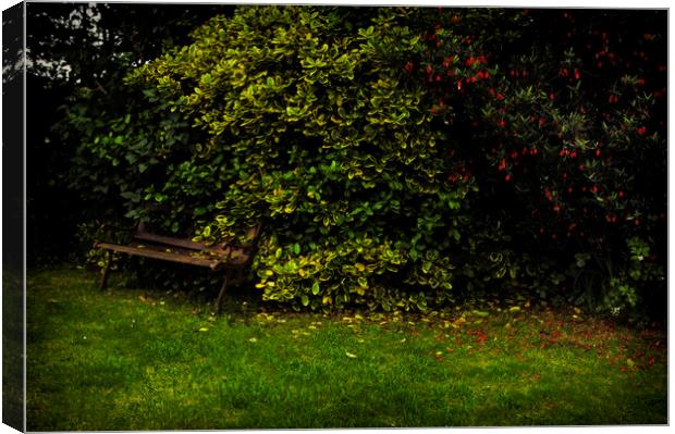 Vintage Garden Bench Canvas Print by Cassi Moghan