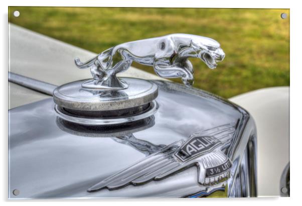 Jaguar Car Classic Car Acrylic by David Pyatt