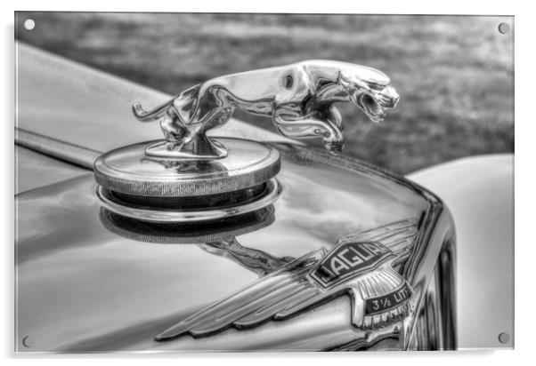 Jaguar Classic Car Acrylic by David Pyatt