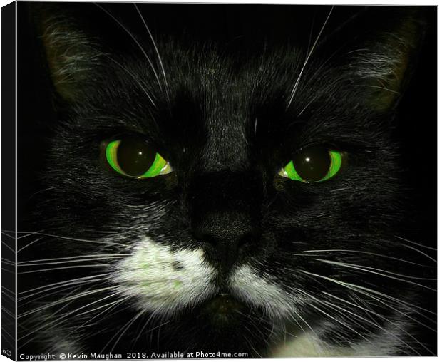 Green Cats Eyes Canvas Print by Kevin Maughan