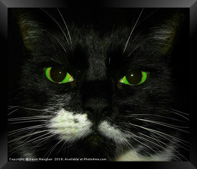 Green Cats Eyes Framed Print by Kevin Maughan