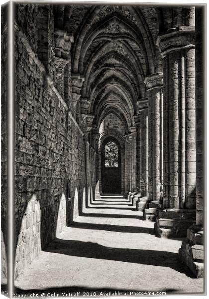 The Cloister Canvas Print by Colin Metcalf