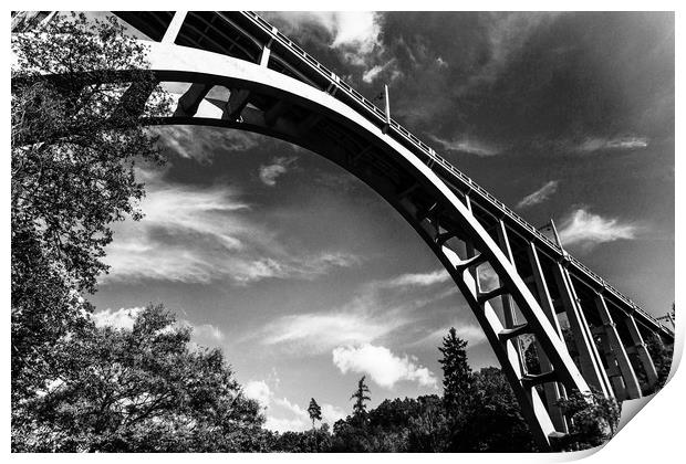 Bridge called "Duha" - Bechyne. Czech Republic Print by Sergey Fedoskin