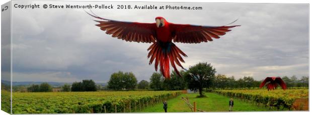 Parrot in flight Canvas Print by Steve WP