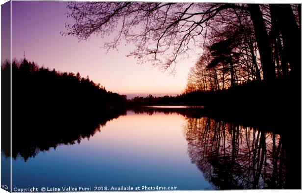 Sweden. Small lake at dusk with trees reflection Canvas Print by Luisa Vallon Fumi