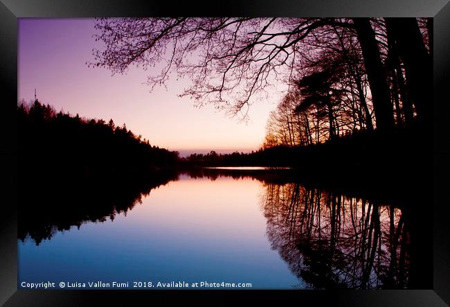 Sweden. Small lake at dusk with trees reflection Framed Print by Luisa Vallon Fumi