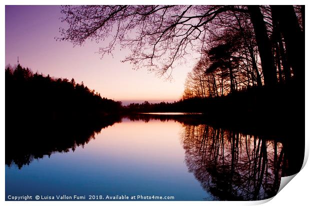 Sweden. Small lake at dusk with trees reflection Print by Luisa Vallon Fumi