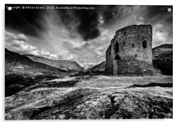 Dolbadarn Castle Acrylic by Adrian Evans