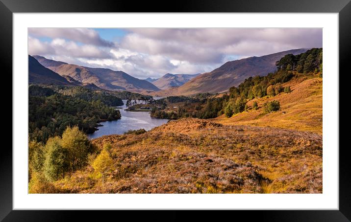 Autumn in Glen Affric  Framed Mounted Print by George Robertson