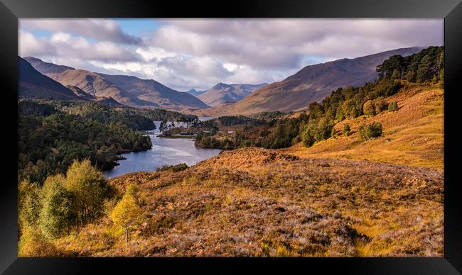 Autumn in Glen Affric  Framed Print by George Robertson