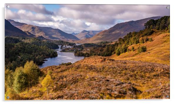 Autumn in Glen Affric  Acrylic by George Robertson