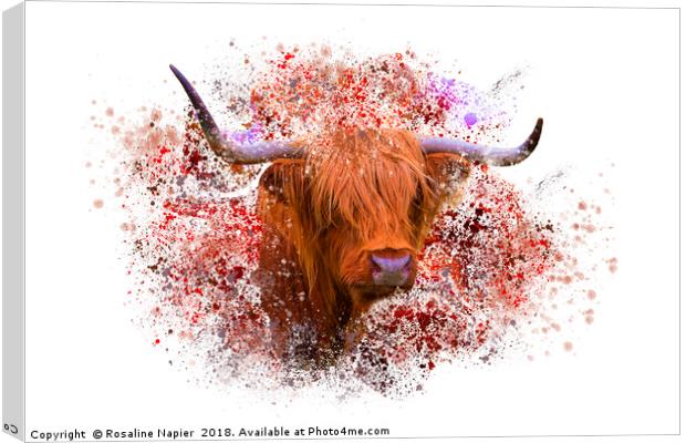 Highland cow with paint splatter Canvas Print by Rosaline Napier