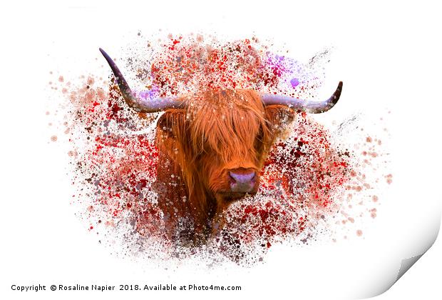 Highland cow with paint splatter Print by Rosaline Napier