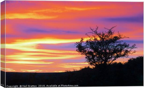 Sunset at Bonehill Rocks Canvas Print by Nymm Gratton