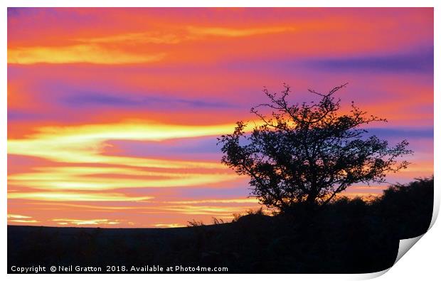 Sunset at Bonehill Rocks Print by Nymm Gratton