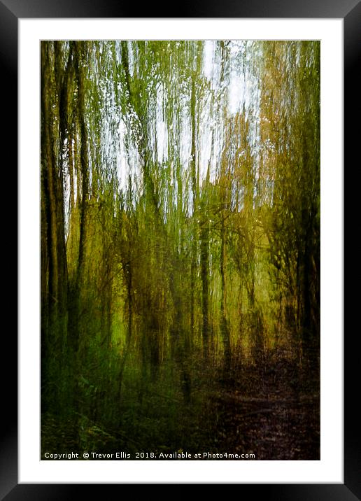 Abstract Woodland Framed Mounted Print by Trevor Ellis