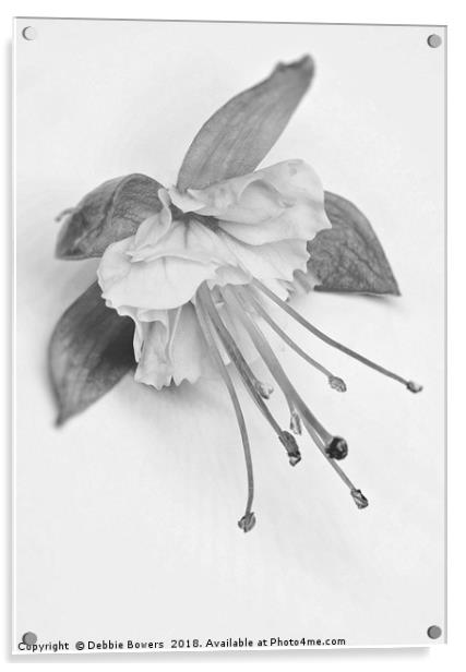 Fuchsia in B&W Acrylic by Lady Debra Bowers L.R.P.S