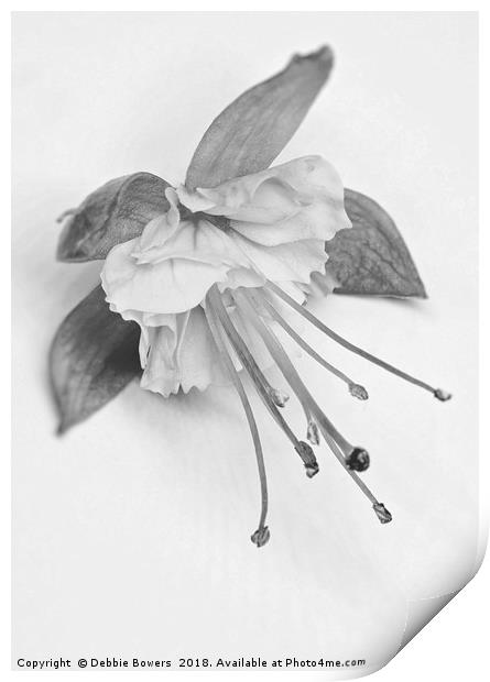 Fuchsia in B&W Print by Lady Debra Bowers L.R.P.S
