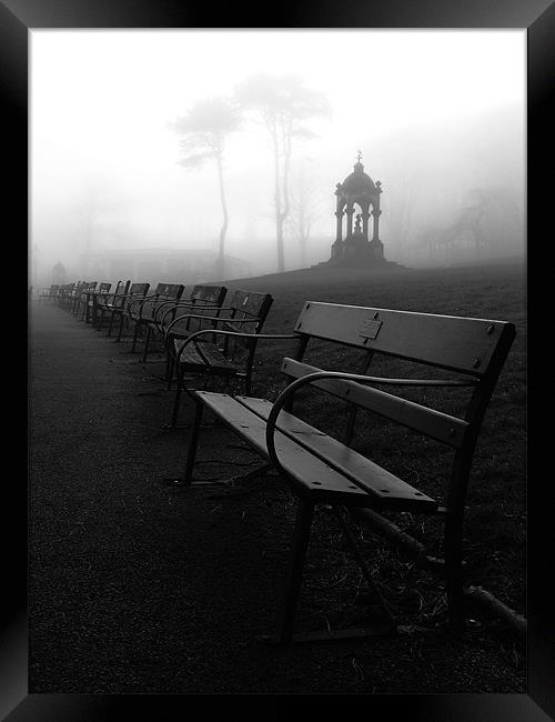 Fogbound Benches. Framed Print by Roy Barry