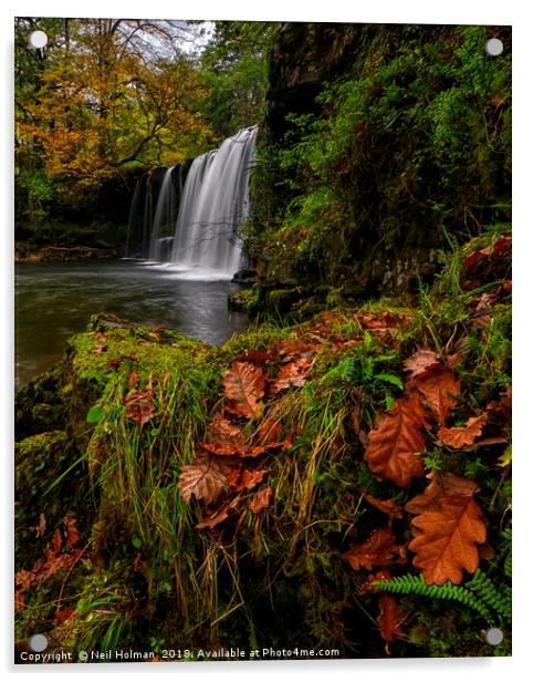 Sgwd Ddwli Waterfall, Brecon Beacons Acrylic by Neil Holman