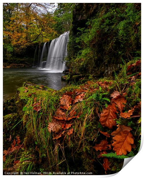 Sgwd Ddwli Waterfall, Brecon Beacons Print by Neil Holman