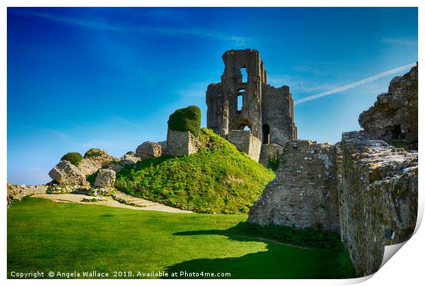 Corfe Castle and gardens                    Print by Angela Wallace