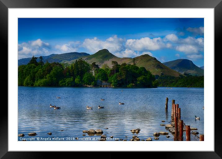 Derwent Water and the  Cat Bells               Framed Mounted Print by Angela Wallace
