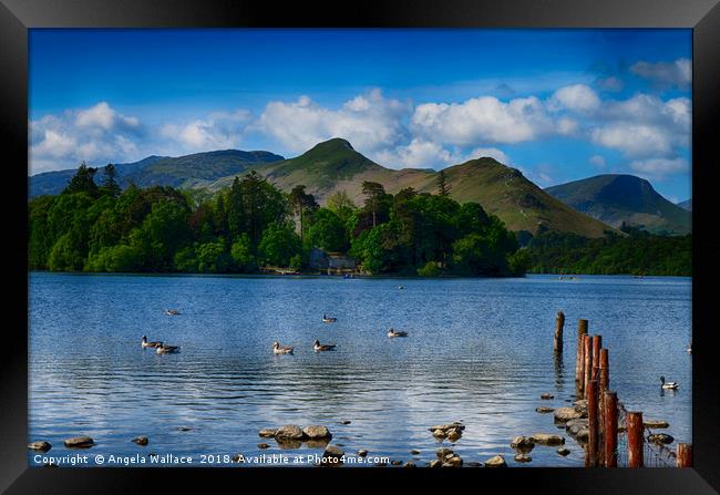 Derwent Water and the  Cat Bells               Framed Print by Angela Wallace