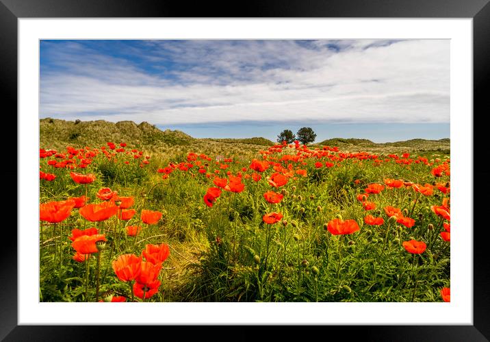 Pop my field Framed Mounted Print by Naylor's Photography