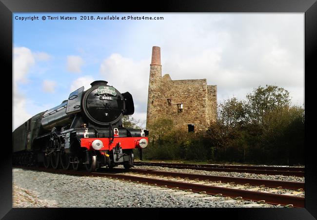 The Cathedrals Express 60103 Framed Print by Terri Waters