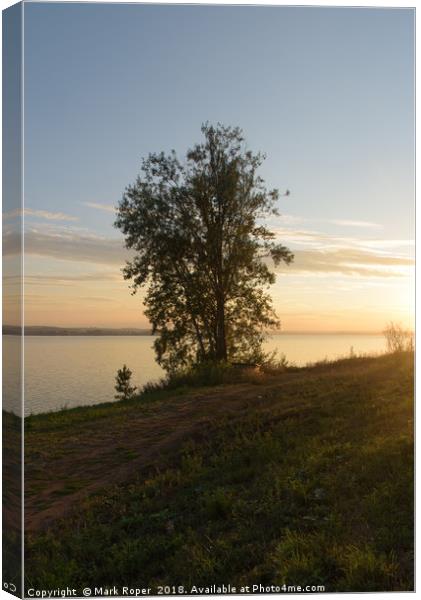 Tree beside lake in Votkinsk at sunset Canvas Print by Mark Roper