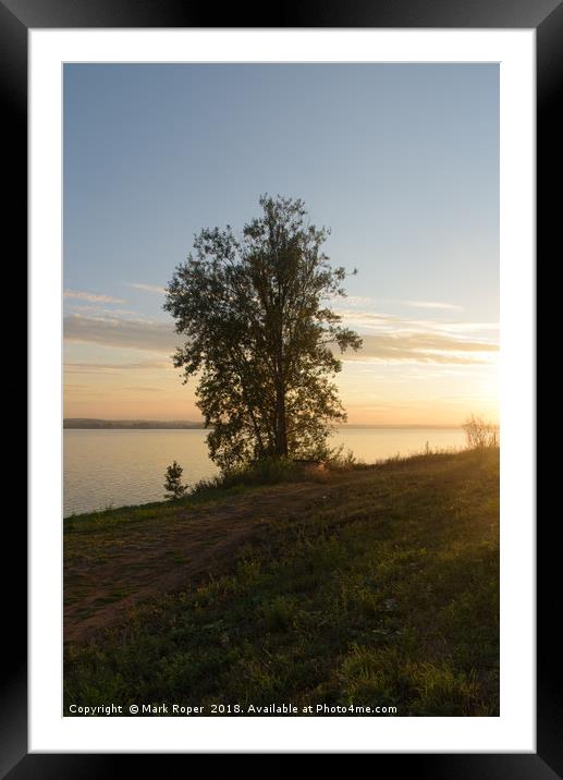 Tree beside lake in Votkinsk at sunset Framed Mounted Print by Mark Roper