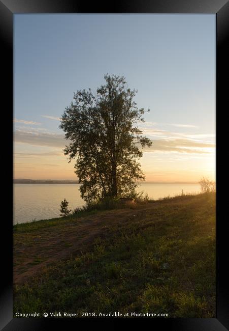 Tree beside lake in Votkinsk at sunset Framed Print by Mark Roper