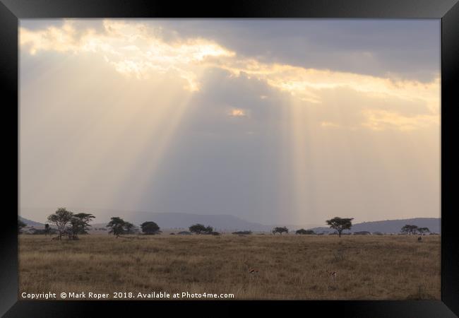 Rays of sunlight shining on the Serengeti savanna Framed Print by Mark Roper