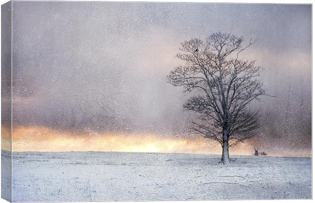 Winter Sunrise, Wramplingham, Norfolk Canvas Print by Dave Turner