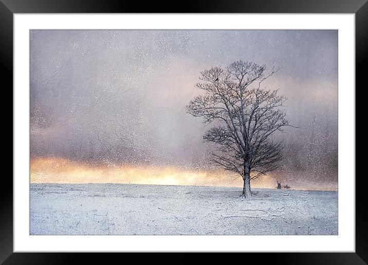 Winter Sunrise, Wramplingham, Norfolk Framed Mounted Print by Dave Turner