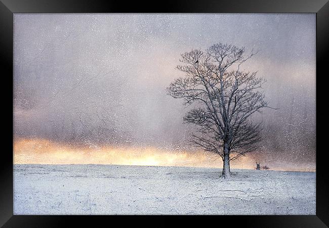Winter Sunrise, Wramplingham, Norfolk Framed Print by Dave Turner