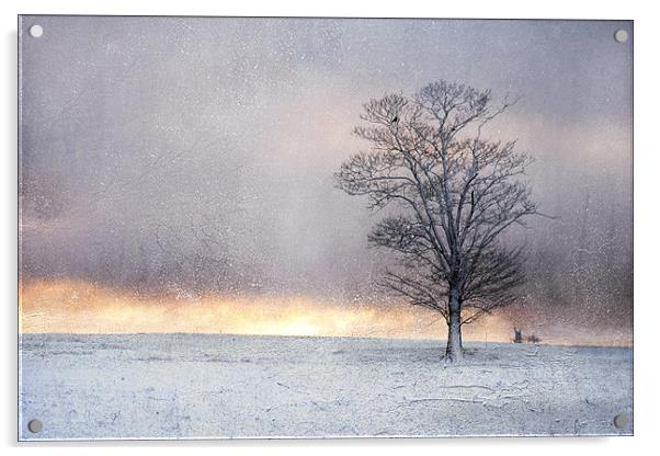 Winter Sunrise, Wramplingham, Norfolk Acrylic by Dave Turner