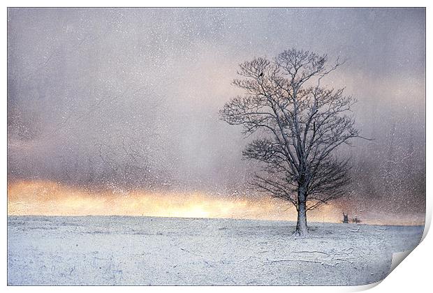 Winter Sunrise, Wramplingham, Norfolk Print by Dave Turner