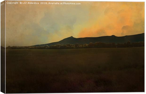 Bennachie, Autumn Light Canvas Print by LIZ Alderdice