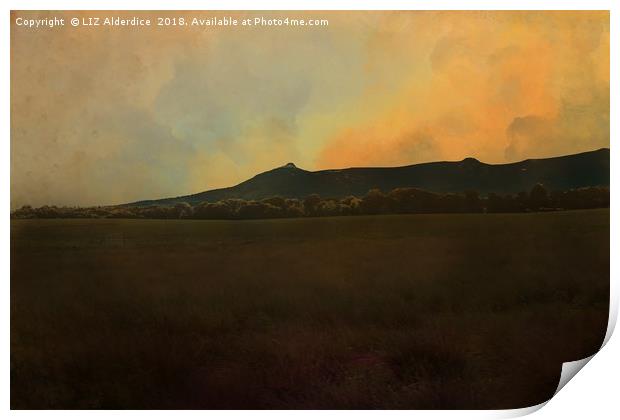 Bennachie, Autumn Light Print by LIZ Alderdice