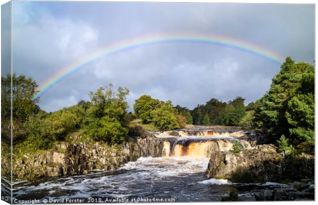 Low Force Rainbow Canvas Print by David Forster