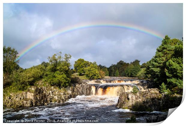 Low Force Rainbow Print by David Forster