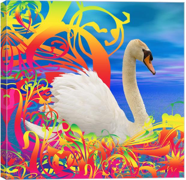 Swan Nest Canvas Print by Matthew Lacey
