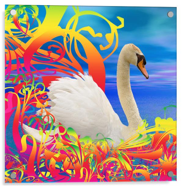 Swan Nest Acrylic by Matthew Lacey