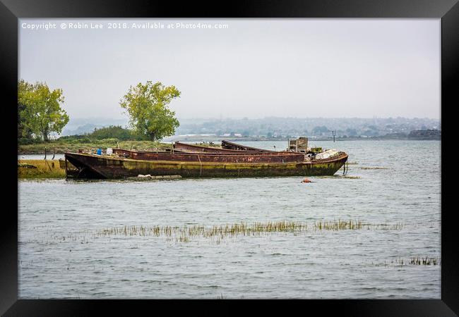 Boat Wrecks on the River Medway Framed Print by Robin Lee