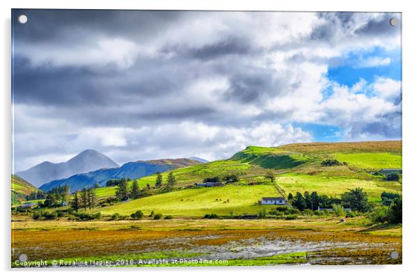 Isle of Skye rural landscape Acrylic by Rosaline Napier