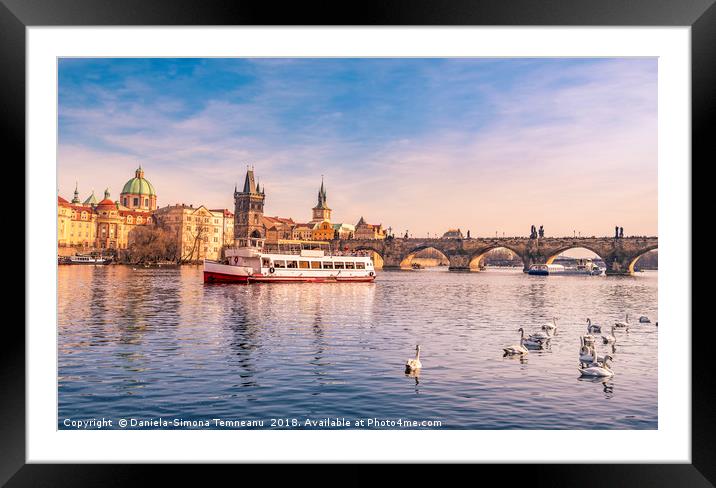 Prague cityscape with Vltava and Charles Bridge Framed Mounted Print by Daniela Simona Temneanu