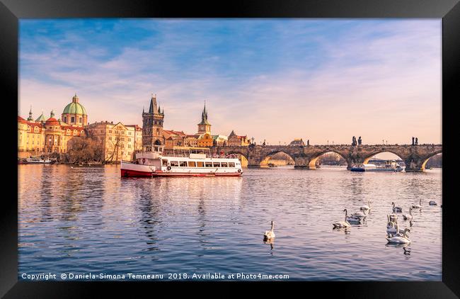 Prague cityscape with Vltava and Charles Bridge Framed Print by Daniela Simona Temneanu